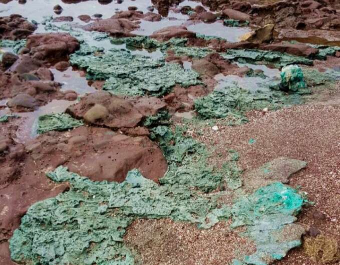 Plastic Rocks Discovered On Remote Island, Caused By Marine Pollution