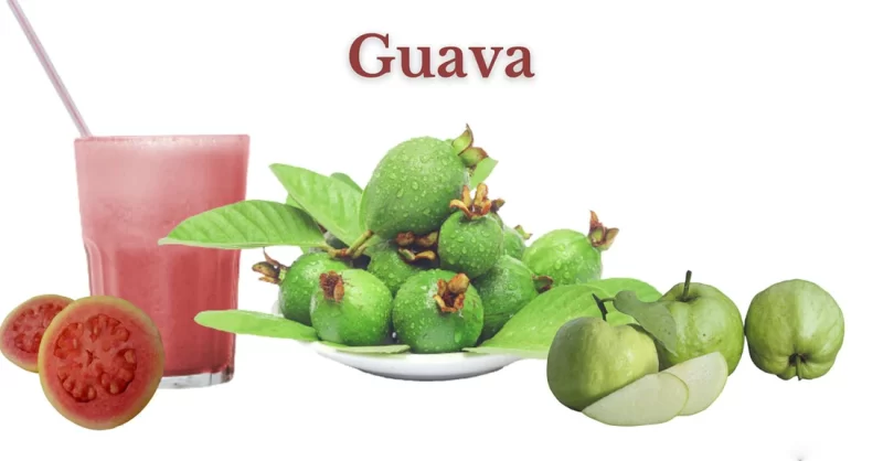 wellhealthorganic.com:5-amazing-health-benefits-of-guava fruit