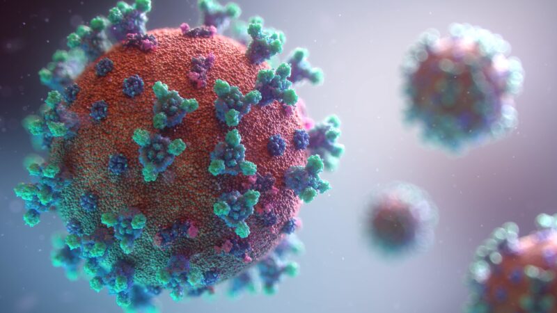 The Future of Life Insurance in the Face of the Third Wave of Coronavirus