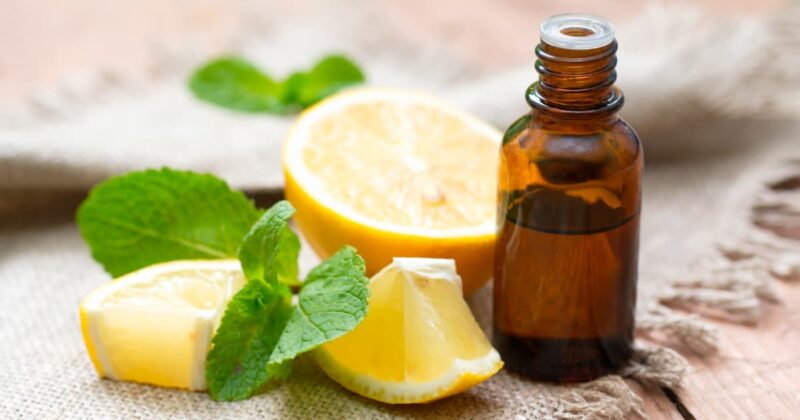 From Aromatherapy to Wellness: Exploring the Health Benefits of Lemon Oil